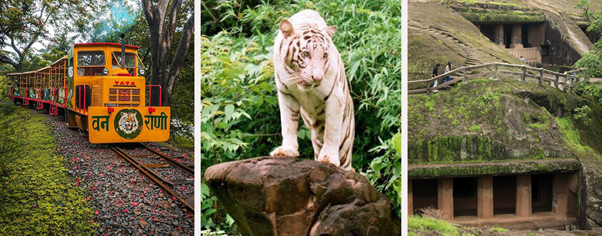 Sanjay Gandhi National Park Borivali East, Safari, Wildlife - Total Safari