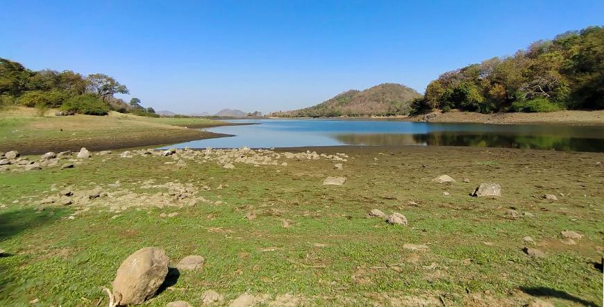 Lake inside sanjay gandhi national park borivali mumbai